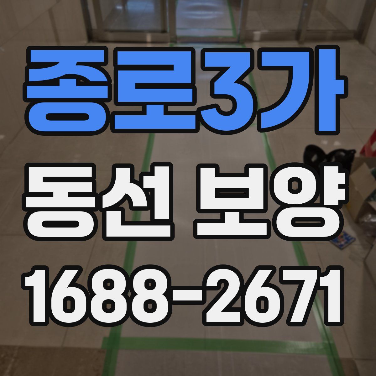 종로3가 동선 보양