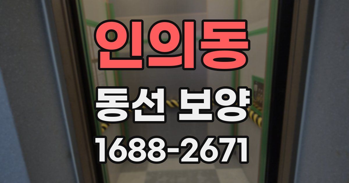 인의동 동선 보양