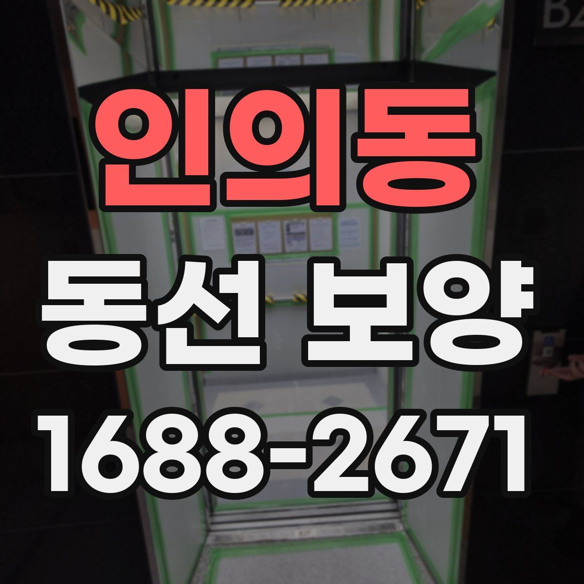인의동 동선 보양
