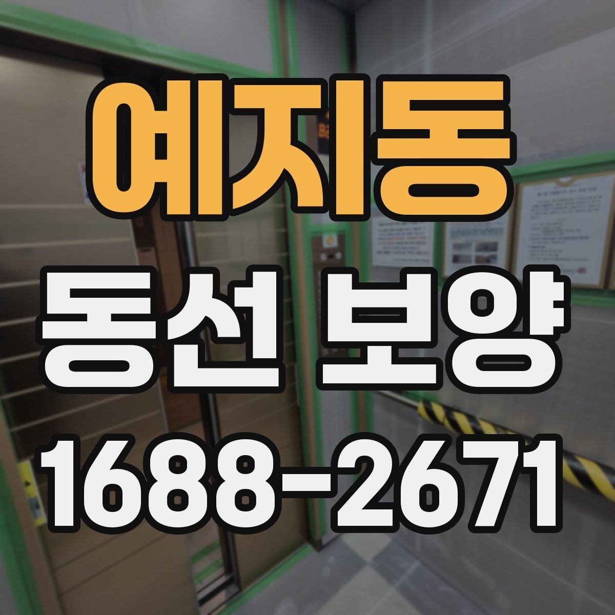 예지동 동선 보양 작업 후 유지 관리 팁