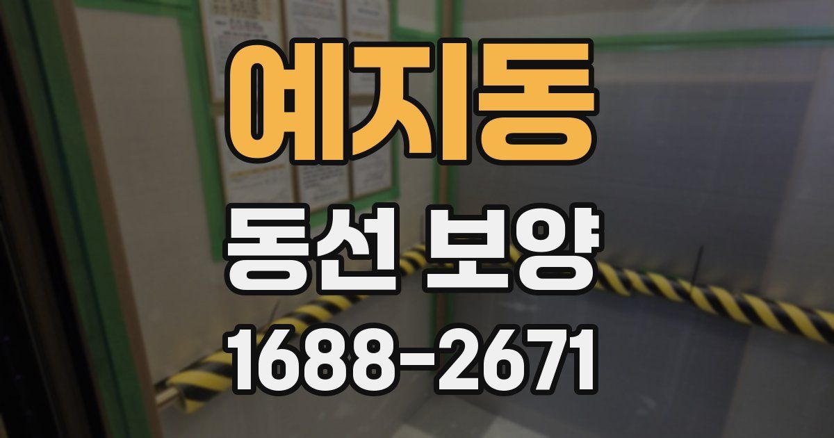 예지동 동선 보양