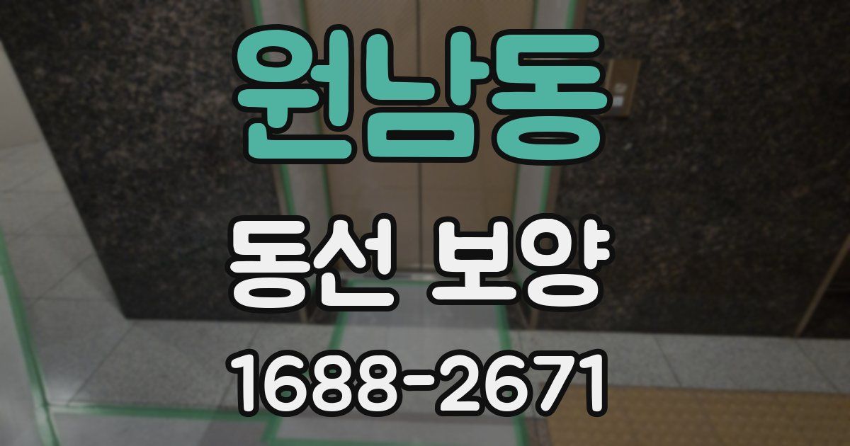 원남동 동선 보양