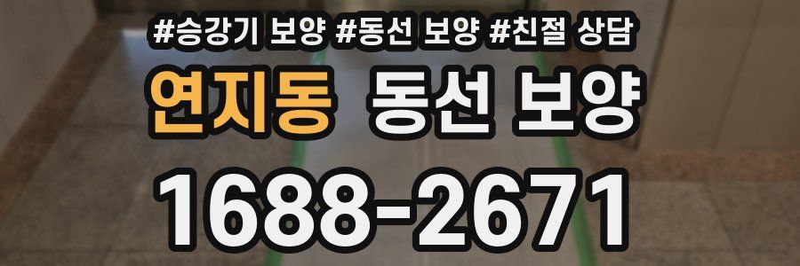연지동 동선 보양