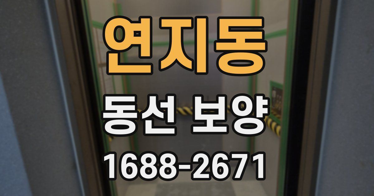 연지동 동선 보양