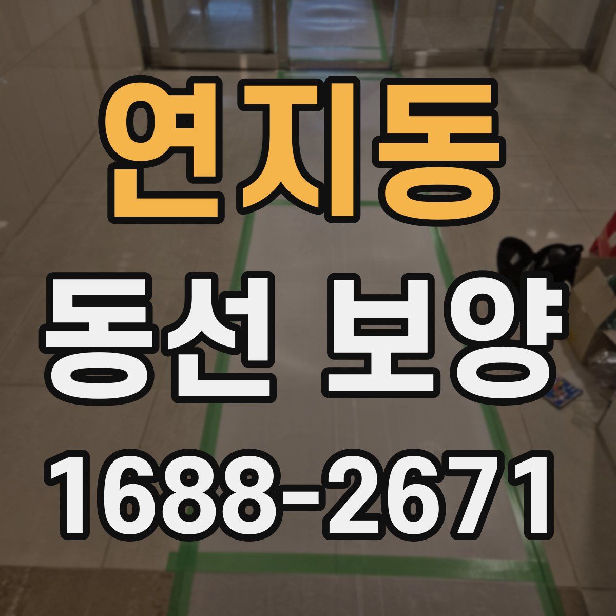 연지동 동선 보양