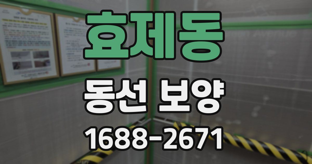 효제동 동선 보양