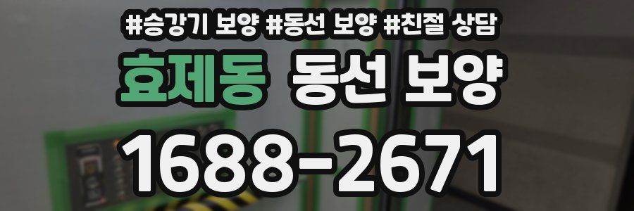 효제동 동선 보양
