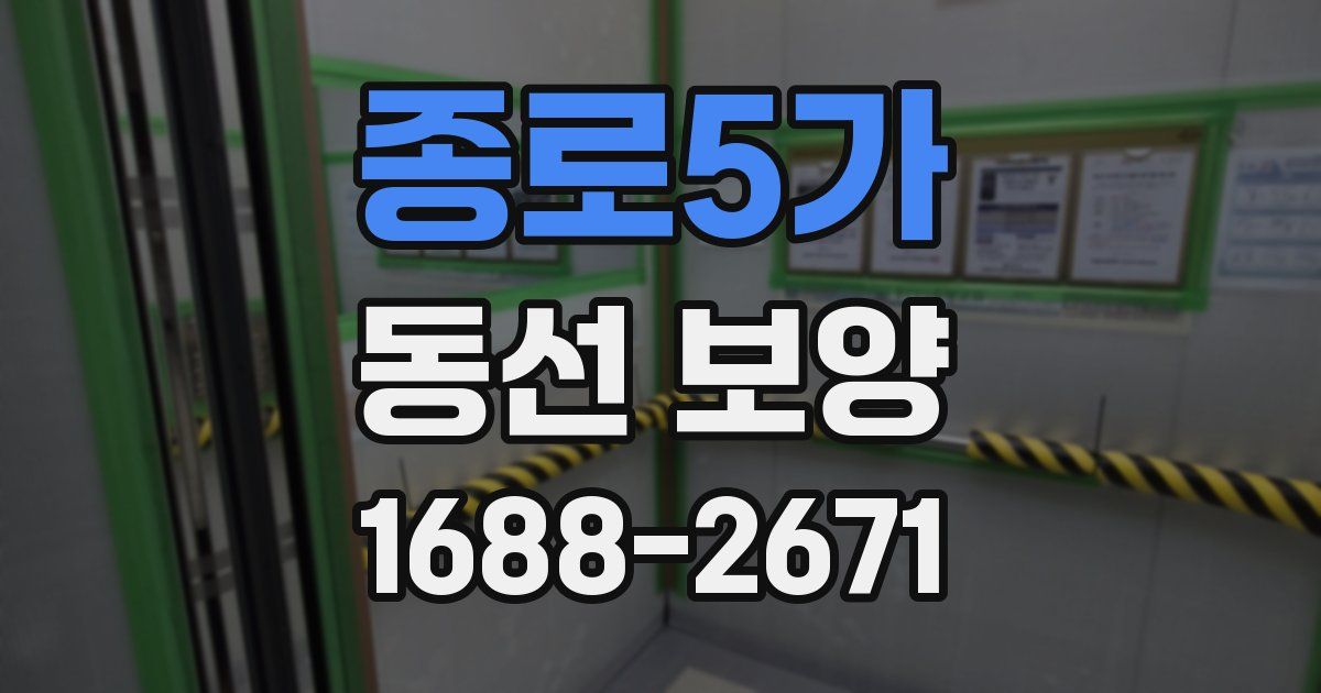 종로5가 동선 보양
