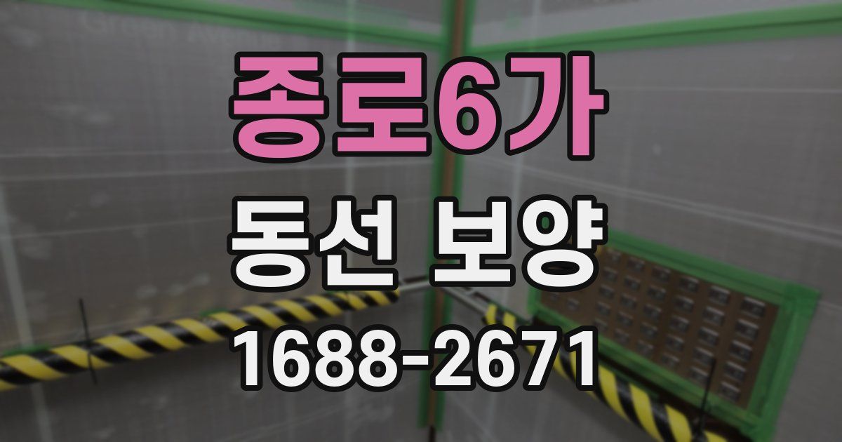 종로6가 동선 보양