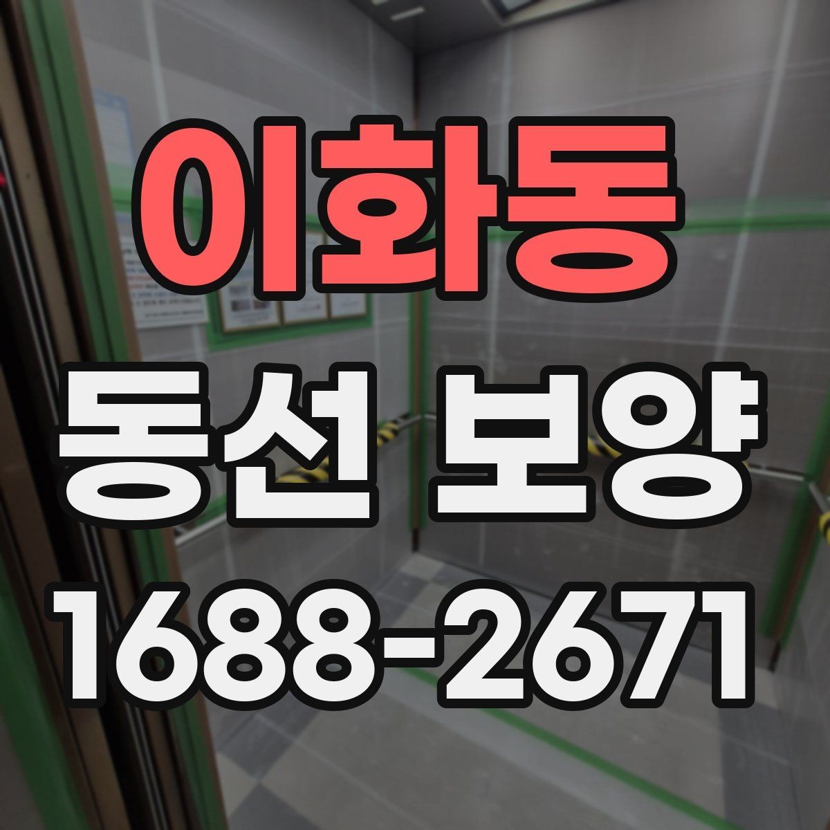 이화동 동선 보양 계획 수립부터 마감까지의 흐름