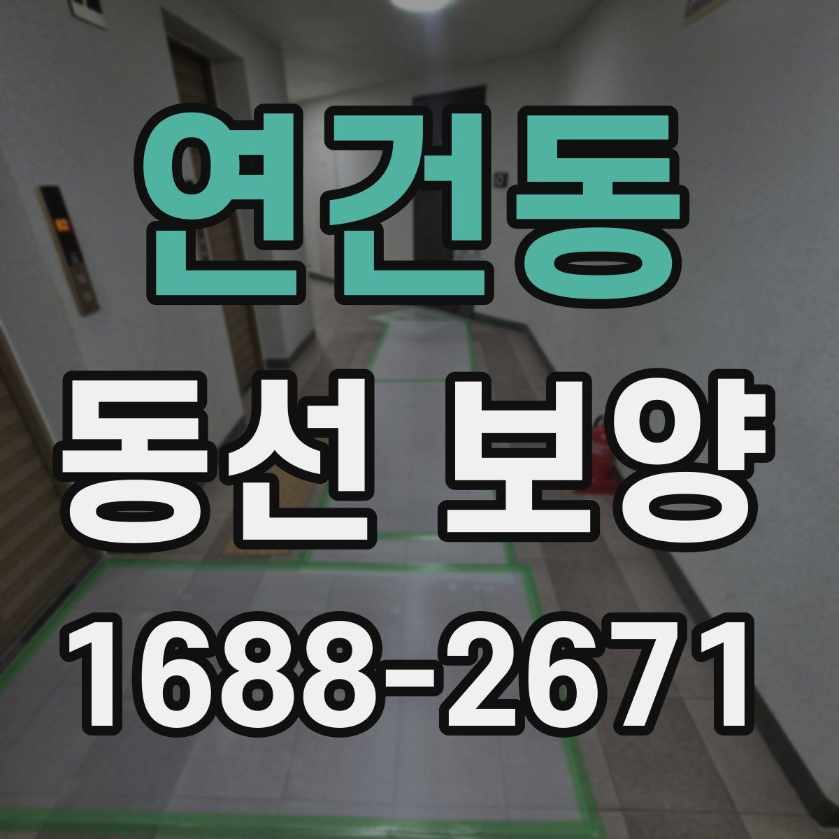 연건동 동선 보양 작업을 간편하게 준비하는 방법