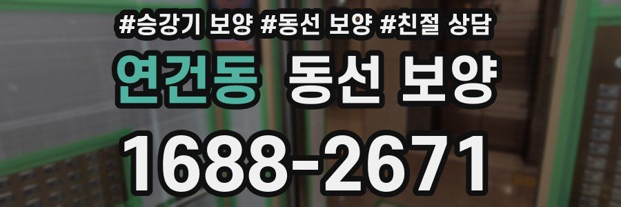 연건동 동선 보양