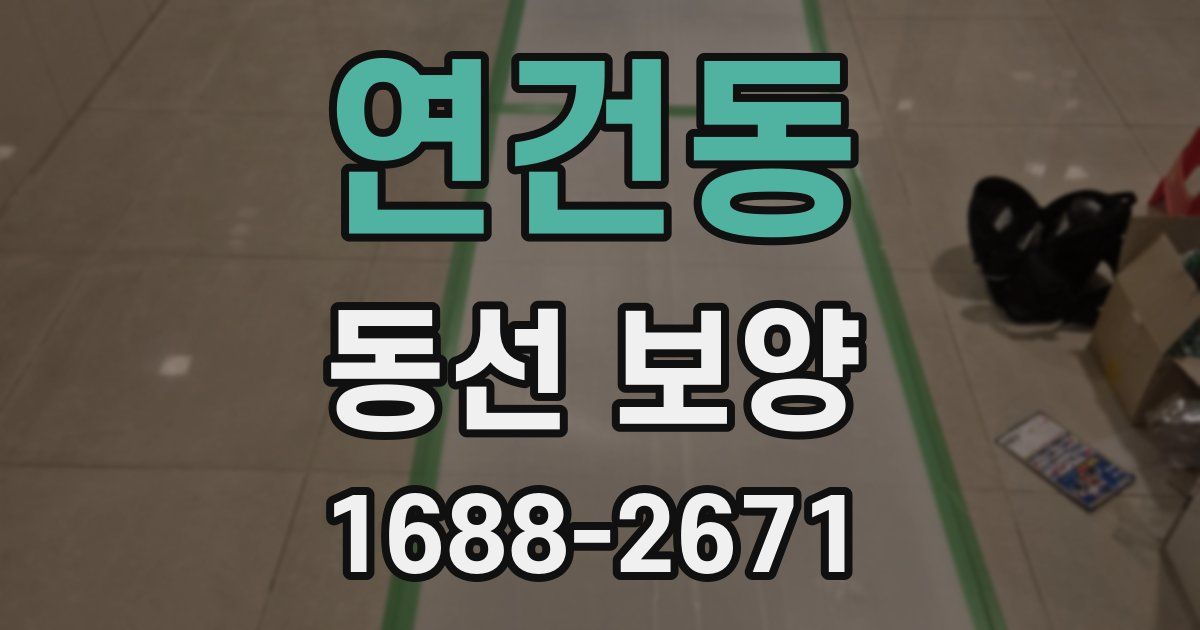 연건동 동선 보양