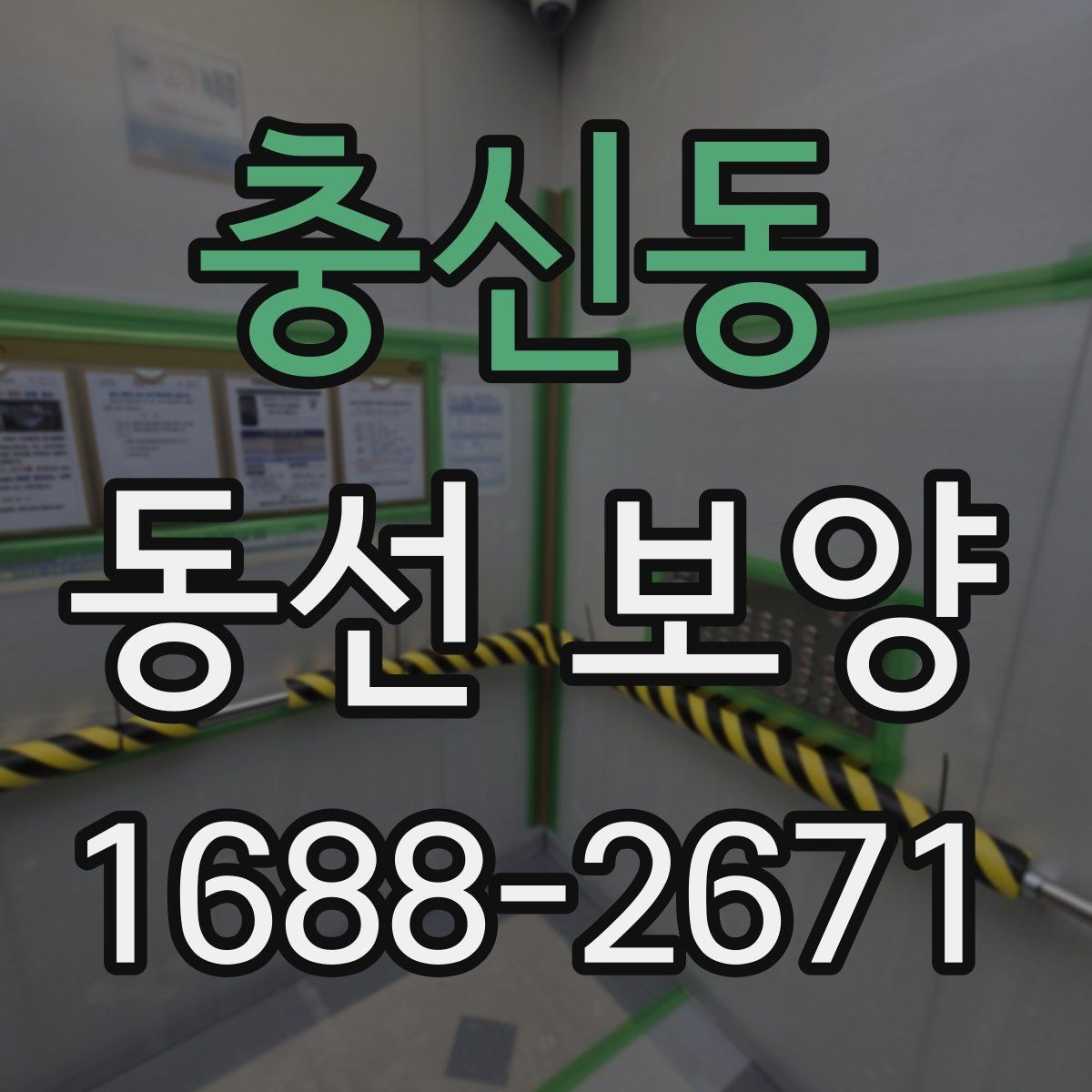 충신동 동선 보양 공정에서 누락하기 쉬운 단계