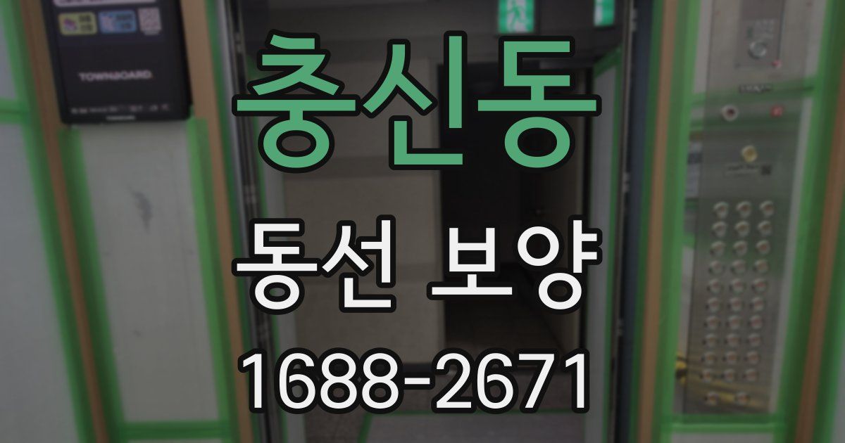 충신동 동선 보양