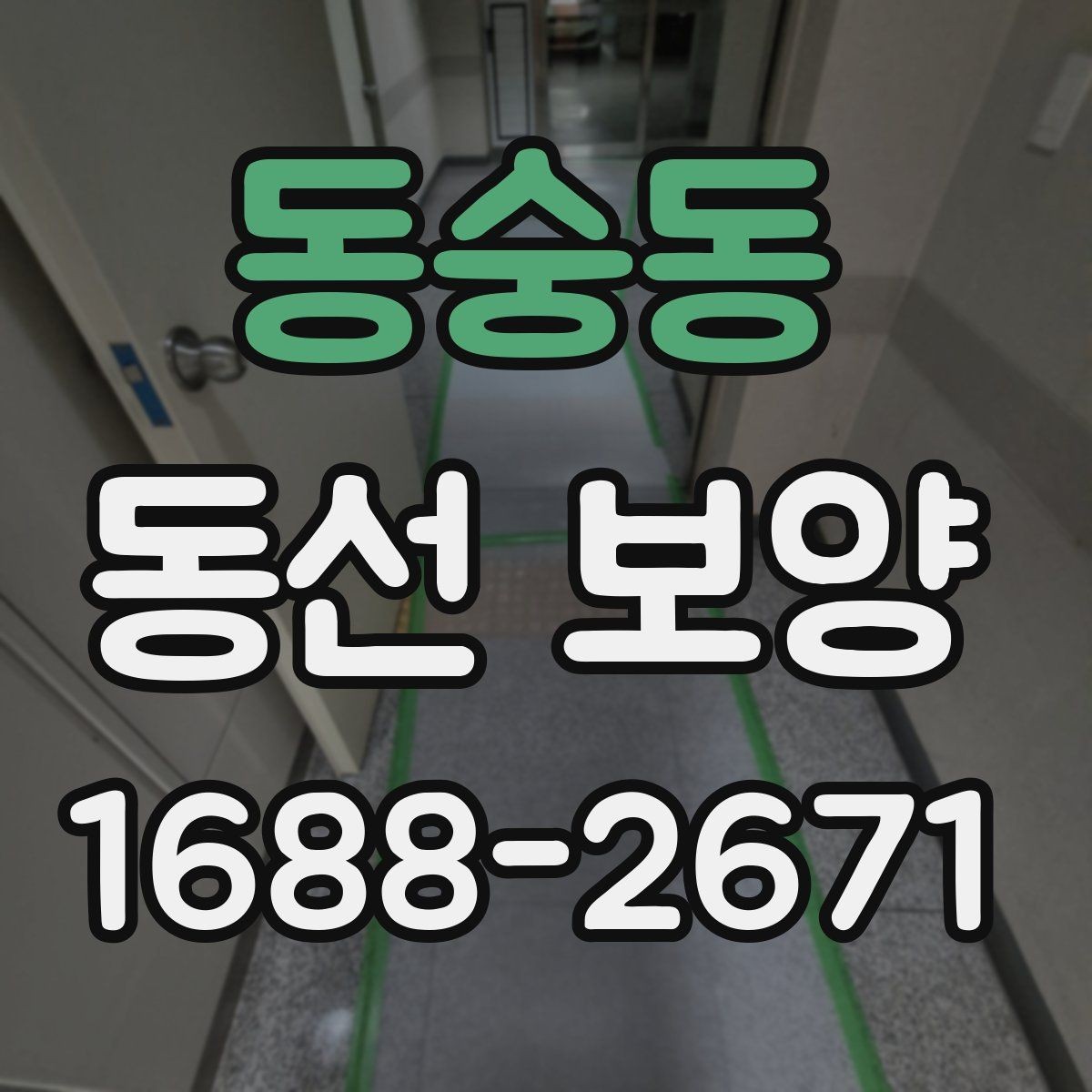 동숭동 동선 보양 진행 중 생길 수 있는 문제와 대응