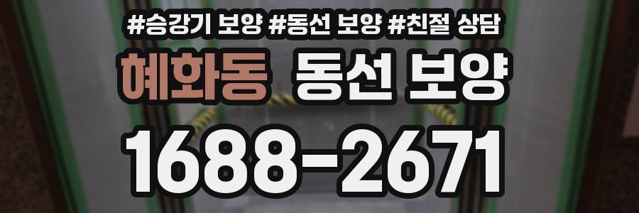 혜화동 동선 보양