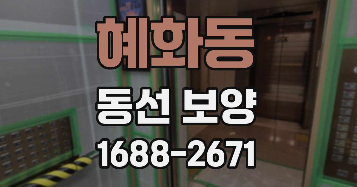 혜화동 동선 보양