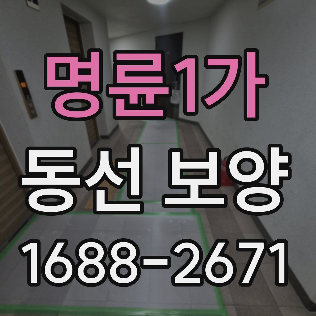 명륜1가 동선 보양 자재별 특징과 활용 방법