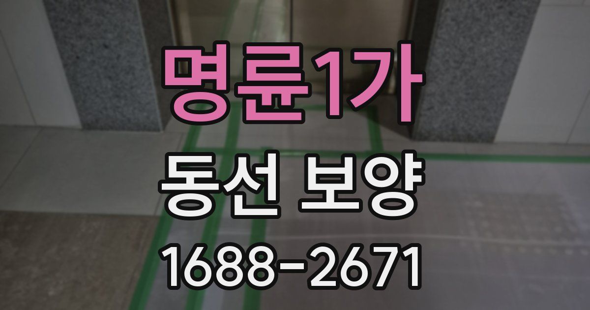 명륜1가 동선 보양
