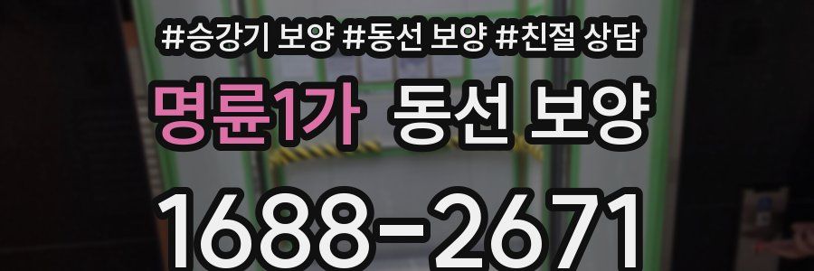 명륜1가 동선 보양