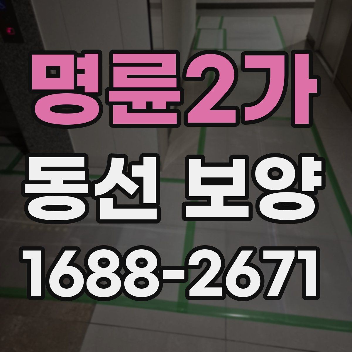 명륜2가 동선 보양 시 먼지와 오염을 줄이는 방법