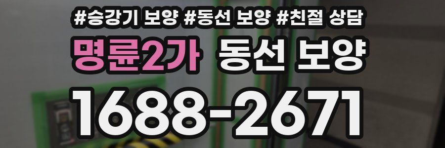 명륜2가 동선 보양