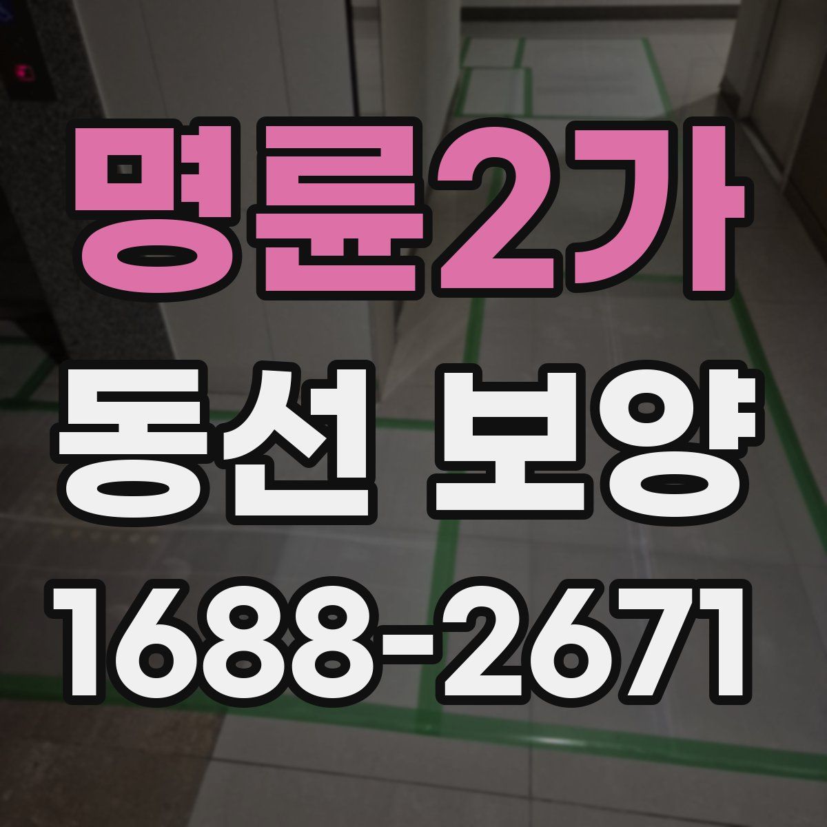 명륜2가 동선 보양