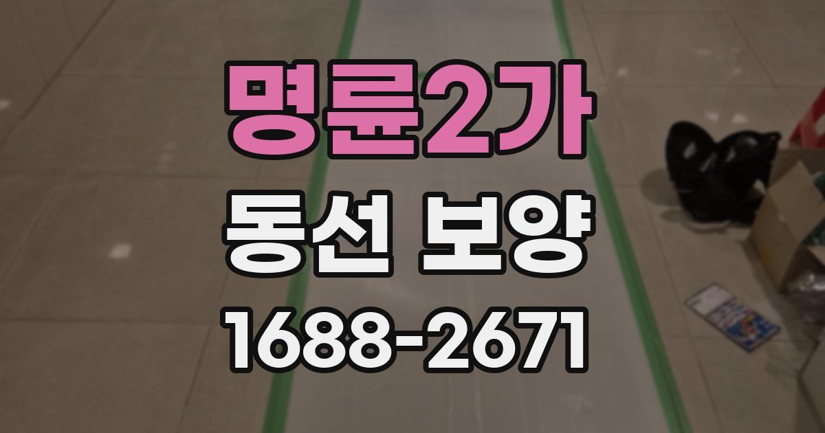 명륜2가 동선 보양
