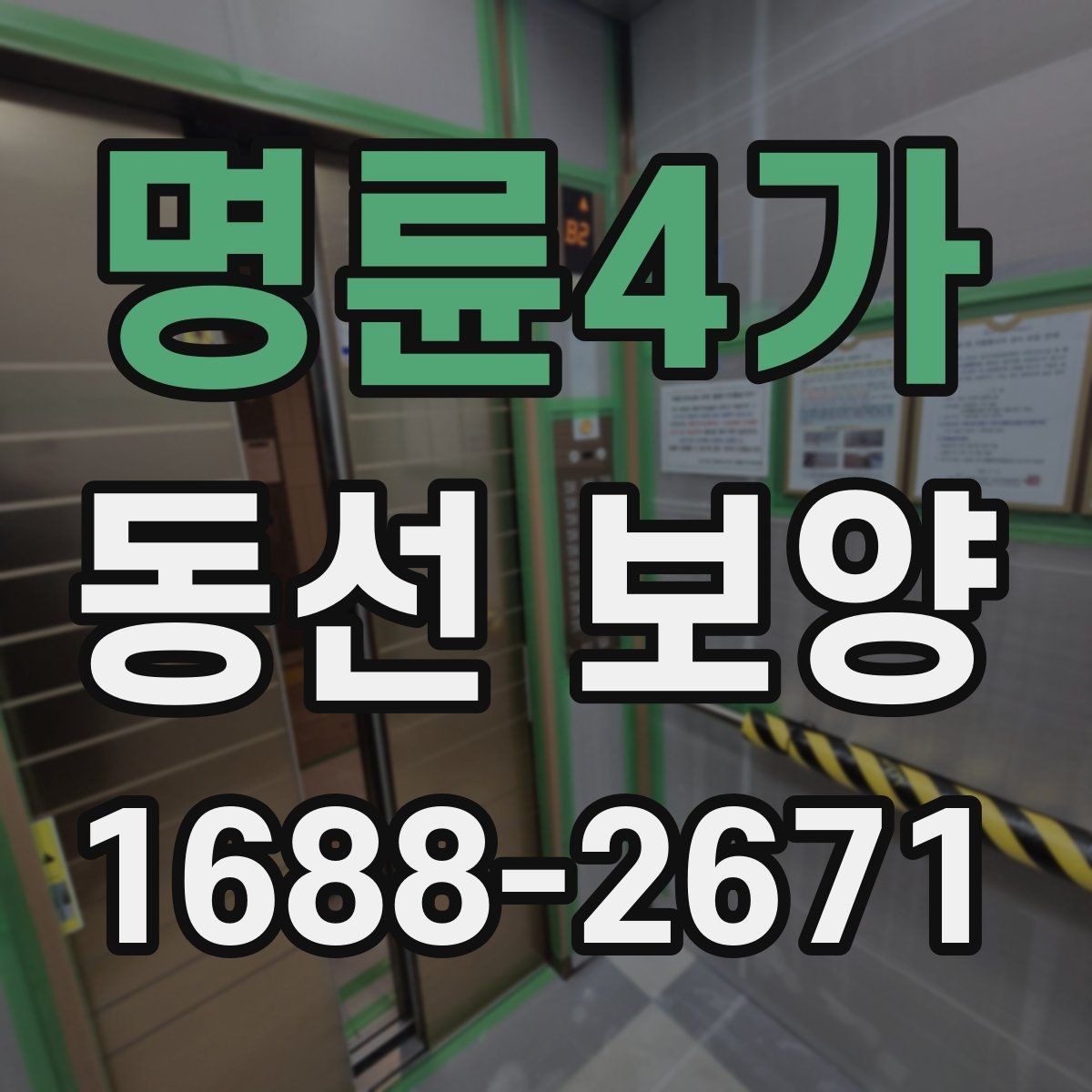 명륜4가 동선 보양 현장에 맞는 일정 조율 방법