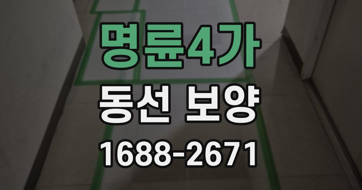 명륜4가 동선 보양