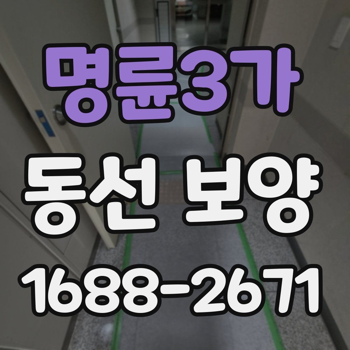 명륜3가 동선 보양 비용 절감보다 중요한 점