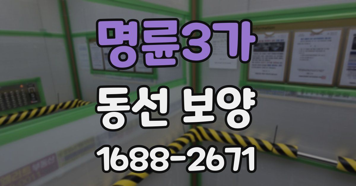 명륜3가 동선 보양
