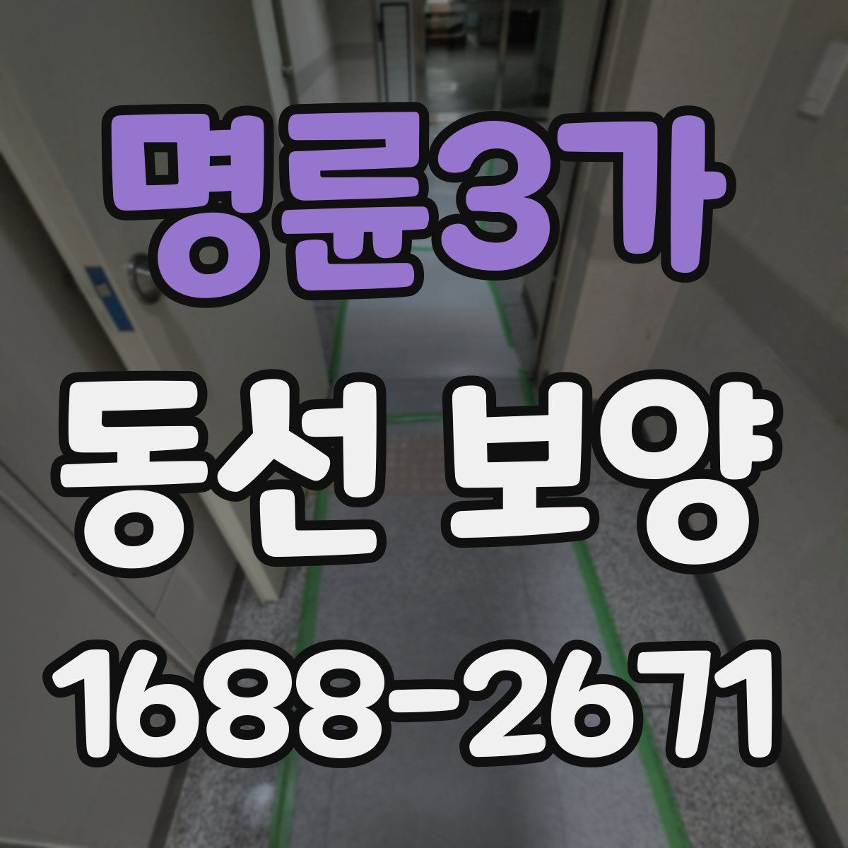 명륜3가 동선 보양