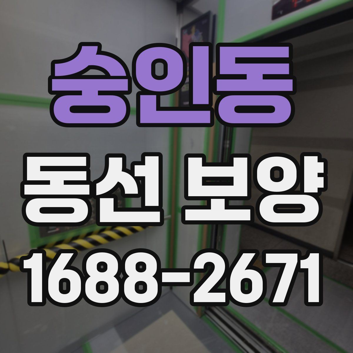 숭인동 동선 보양 공정에서 누락하기 쉬운 단계