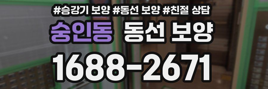 숭인동 동선 보양