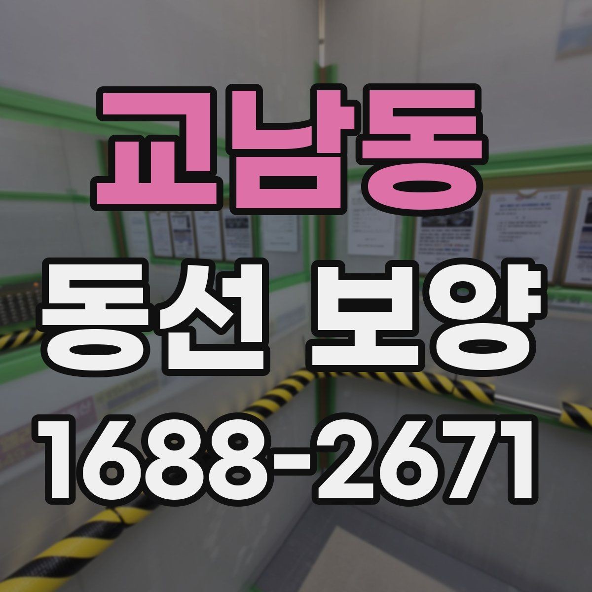교남동 동선 보양 현장별 적용 사례와 특징