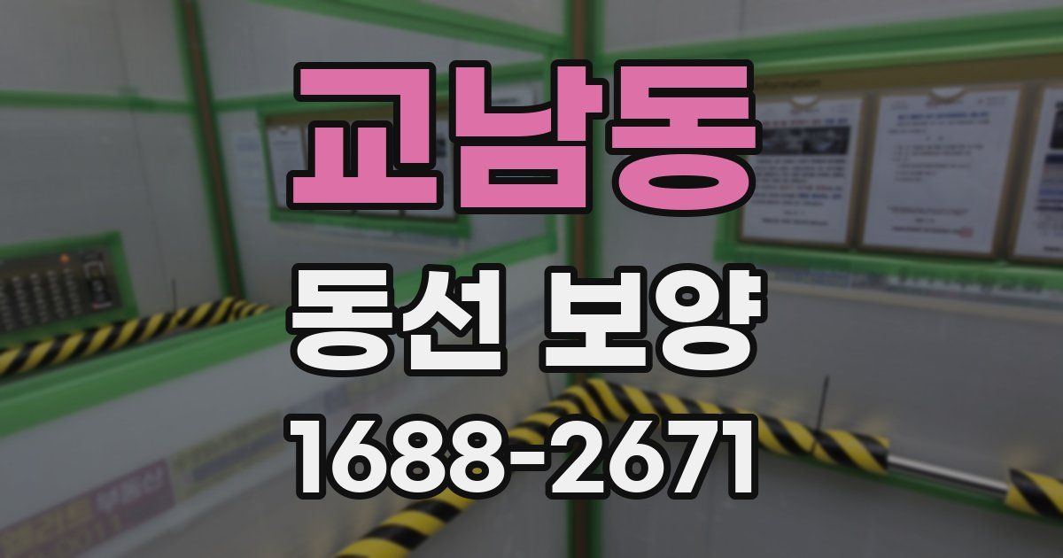 교남동 동선 보양