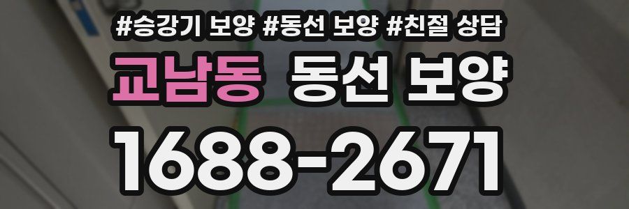 교남동 동선 보양