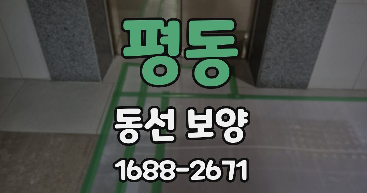 평동 동선 보양