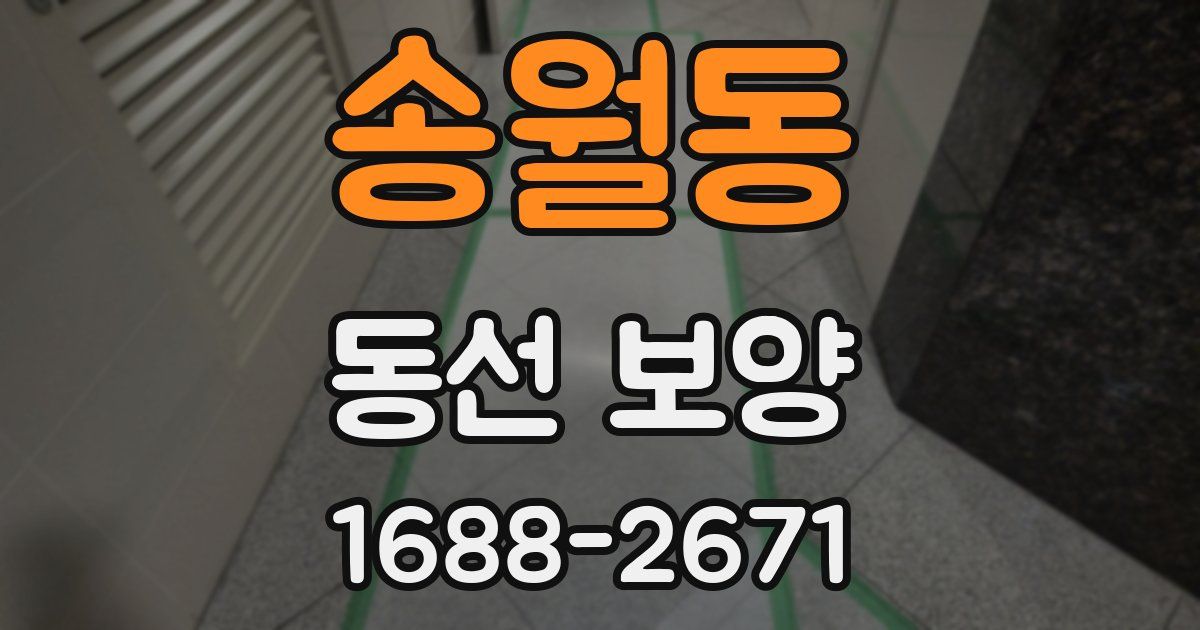 송월동 동선 보양
