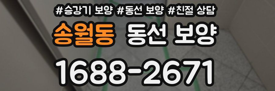 송월동 동선 보양