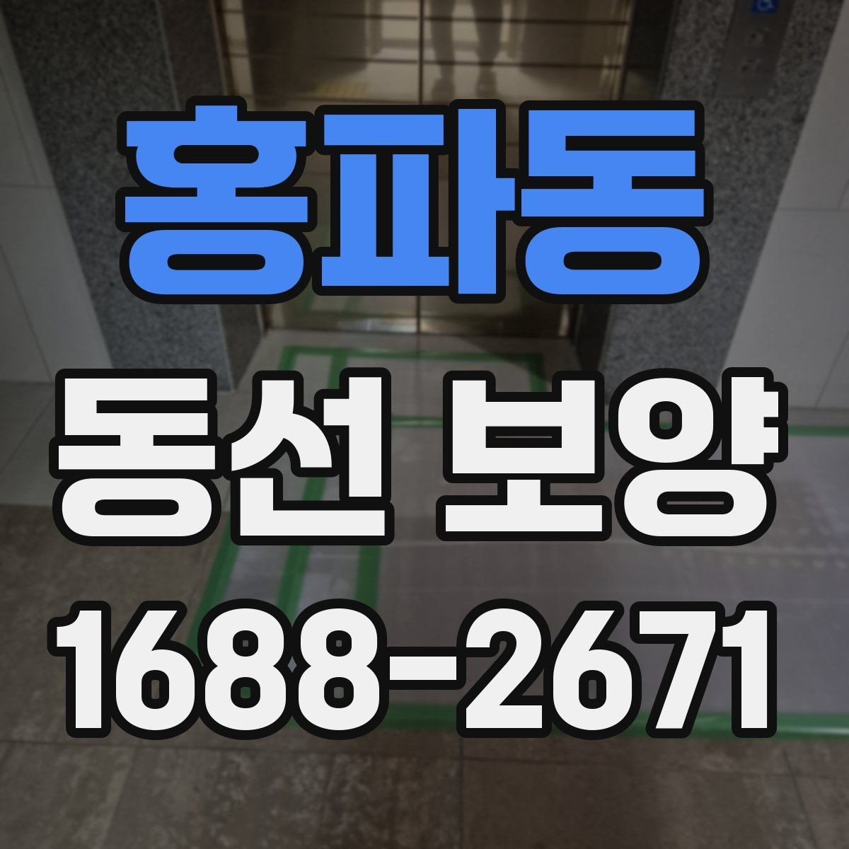 홍파동 동선 보양 적용 시기와 적절한 타이밍