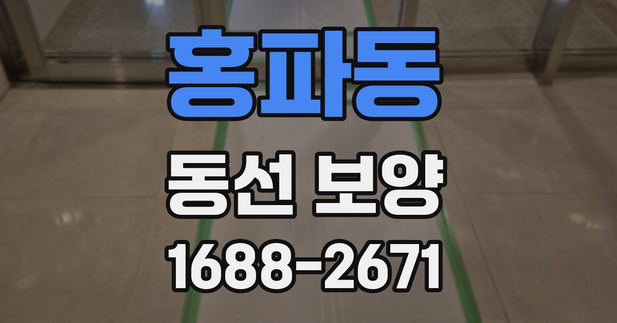 홍파동 동선 보양