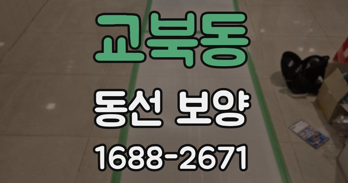 교북동 동선 보양