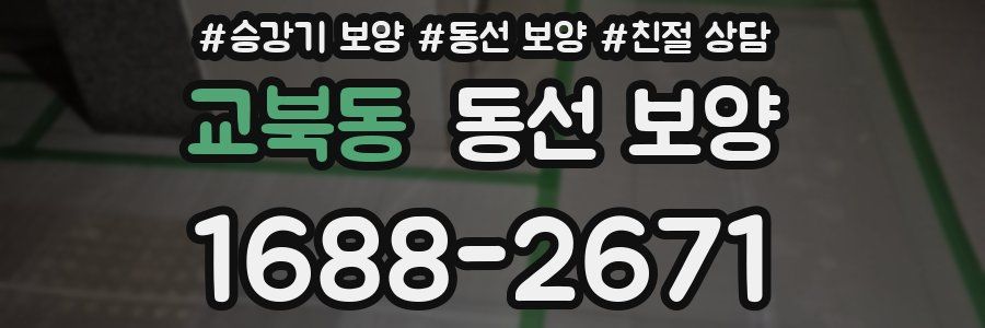 교북동 동선 보양