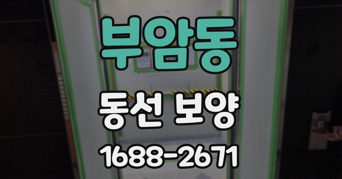 부암동 동선 보양