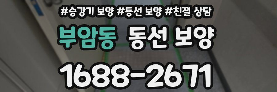 부암동 동선 보양