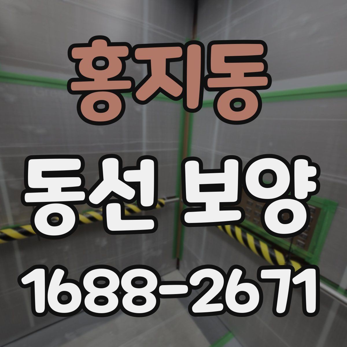 홍지동 동선 보양 현장 사진으로 보는 작업 진행 순서