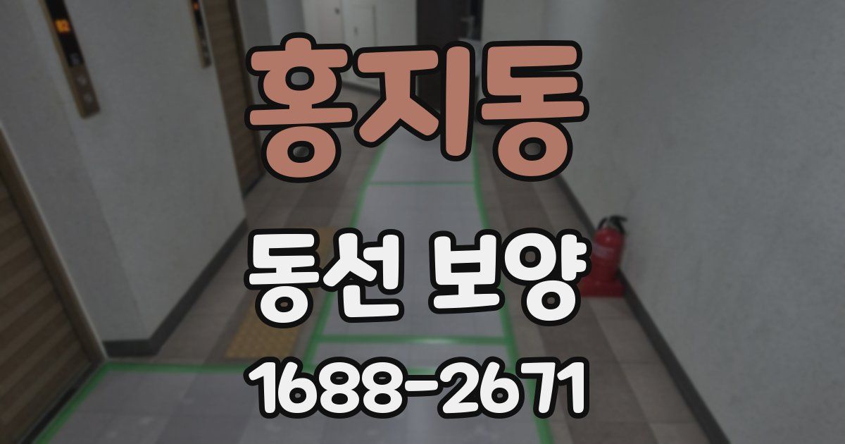 홍지동 동선 보양